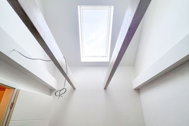Zimmer DG