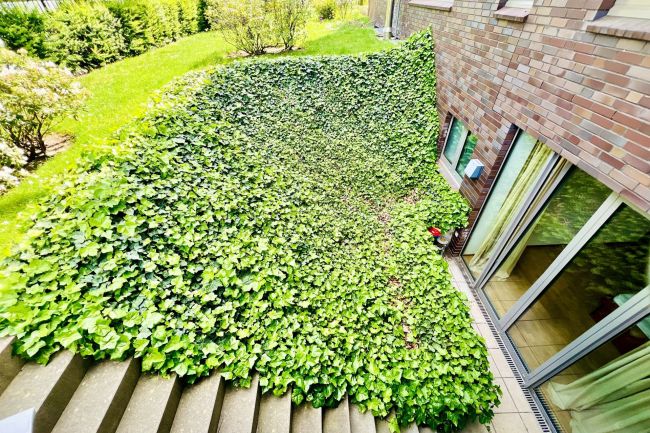 Aussentreppe zum Garten